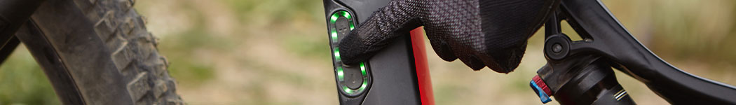 bici elettriche